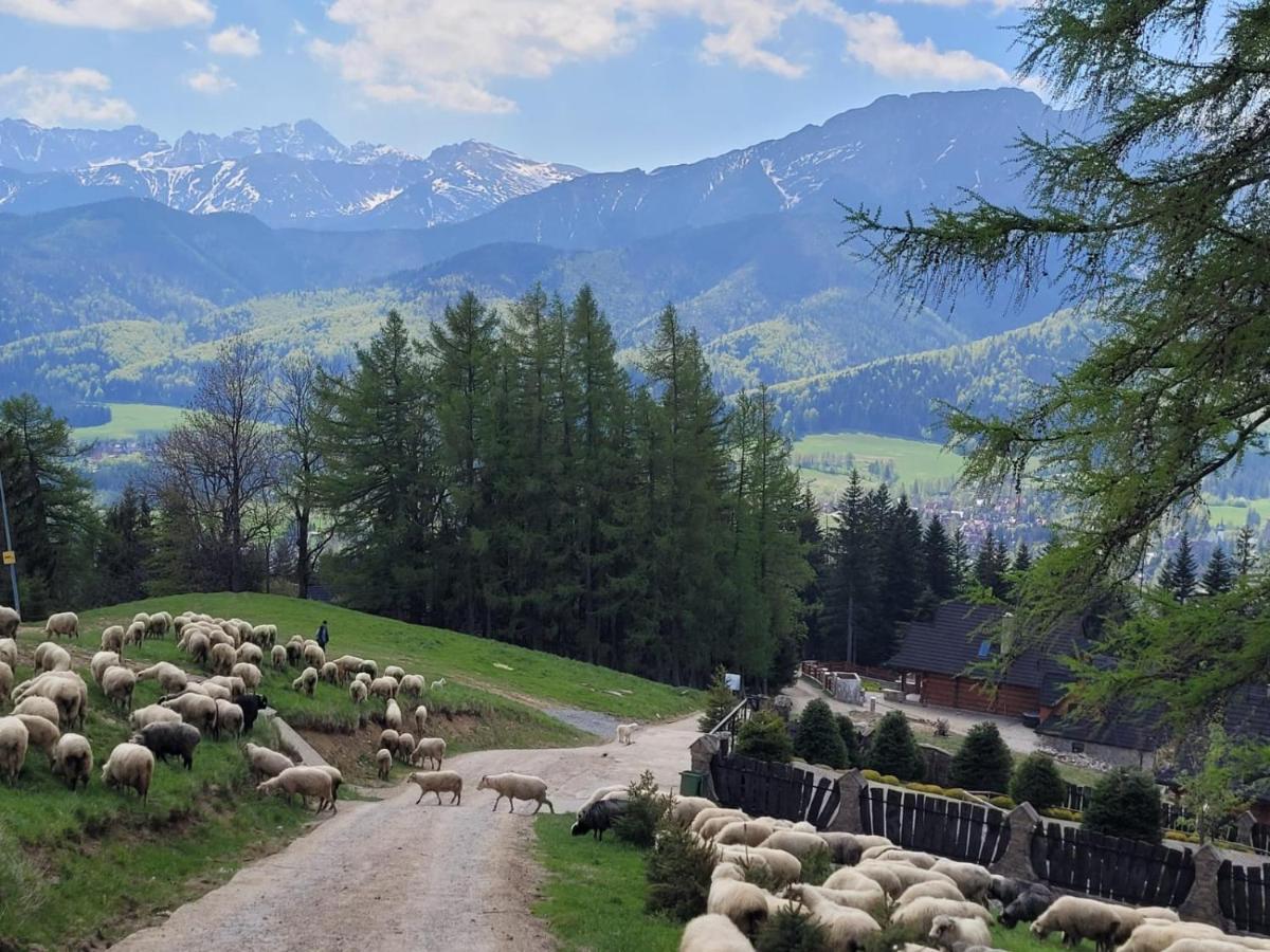 Goralskie Domki Pod Gontem Na Polanie Pajakowka Koscielisko Exterior photo