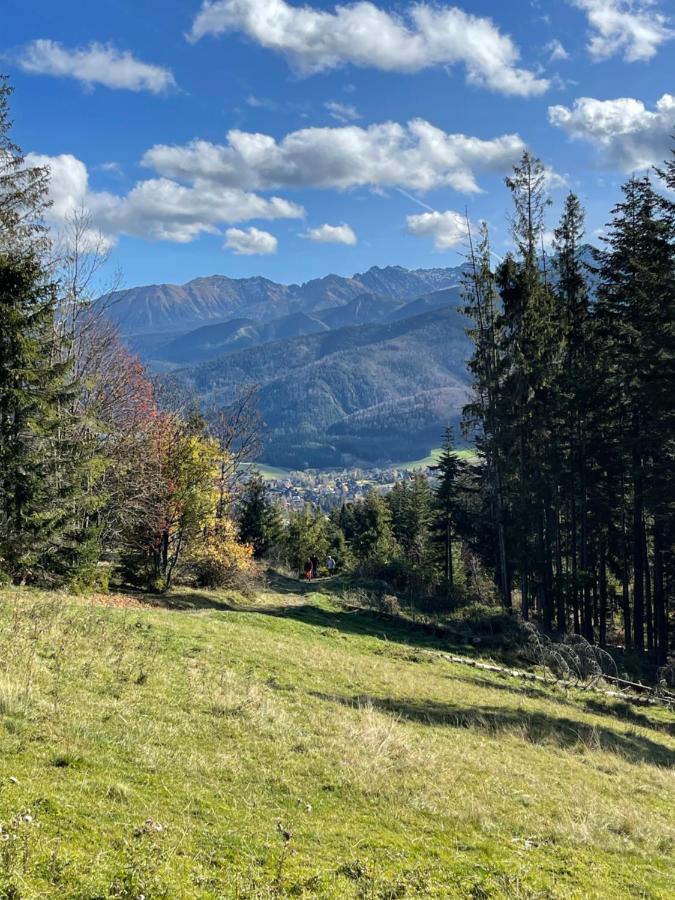 Goralskie Domki Pod Gontem Na Polanie Pajakowka Koscielisko Exterior photo