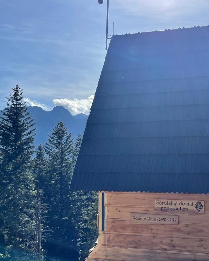 Goralskie Domki Pod Gontem Na Polanie Pajakowka Koscielisko Exterior photo